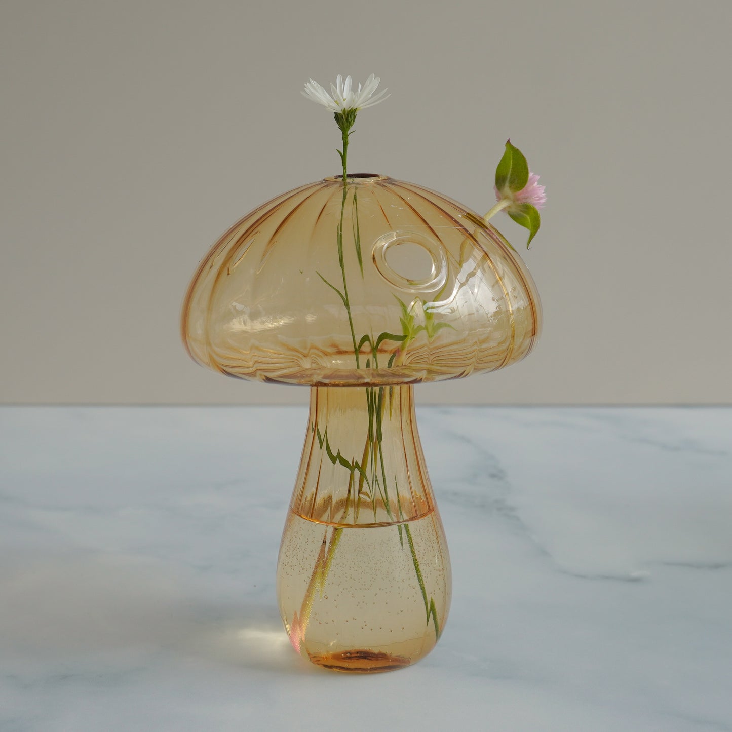 Mushroom Glass Marrón