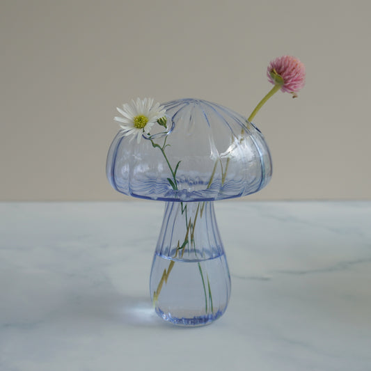 Mushroom Glass Celeste